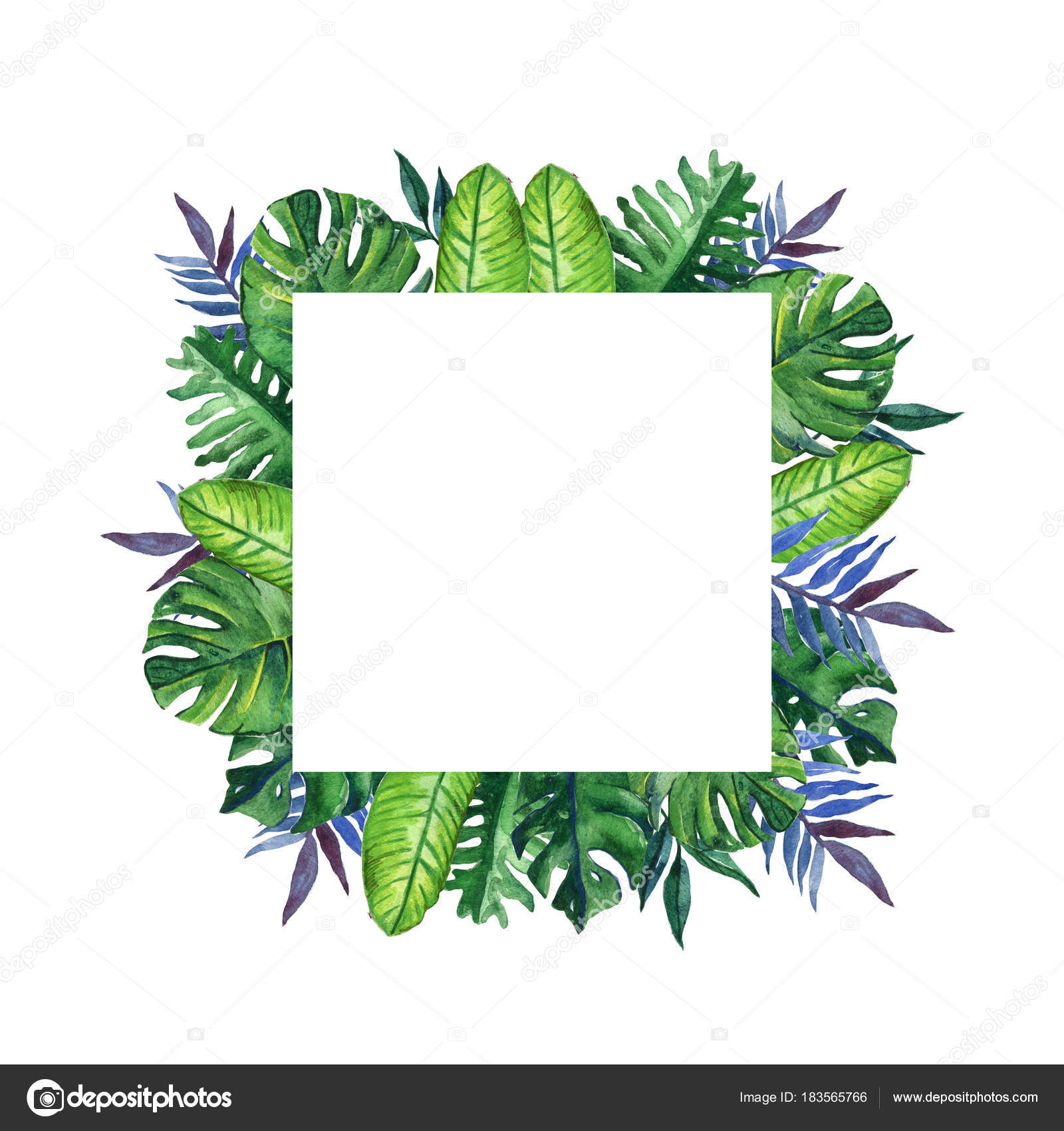 Hand Drawn Tropical Watercolor Square Frame Exotic Palm Banana Leaves ...