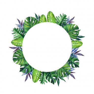 Egzotik palmiye ile çizilmiş tropikal suluboya yuvarlak kare el, beyaz arka plan üzerinde muz yaprakları. Senin metin için yer. Kare biçimi.