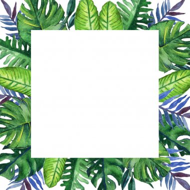 Elle çizilmiş tropikal suluboya kare çerçeve ile egzotik palmiye, muz beyaz zemin üzerine bırakır. Senin metin için yer. Kare biçimi.