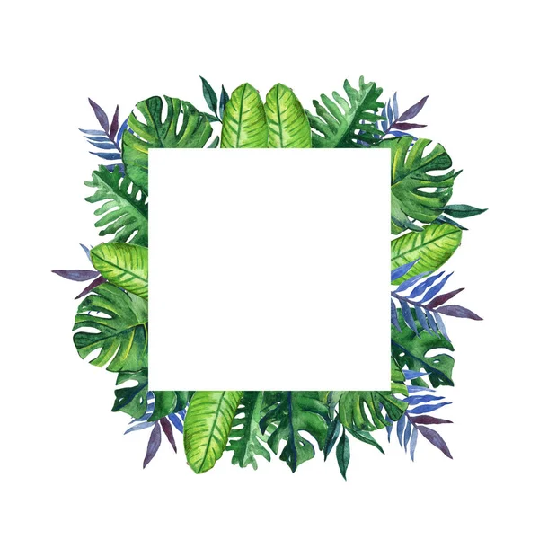 Hand drawn tropical watercolor square frame with exotic palm, banana leaves on white background. Space for your text. Square format.