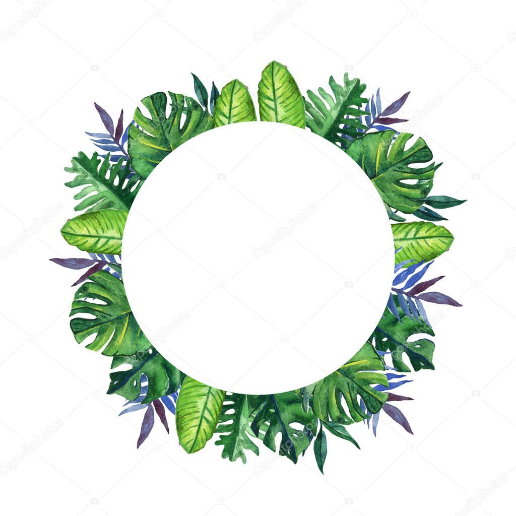 Hand drawn tropical watercolor round frame with exotic palm, banana leaves on white background. Space for your text. Square format.