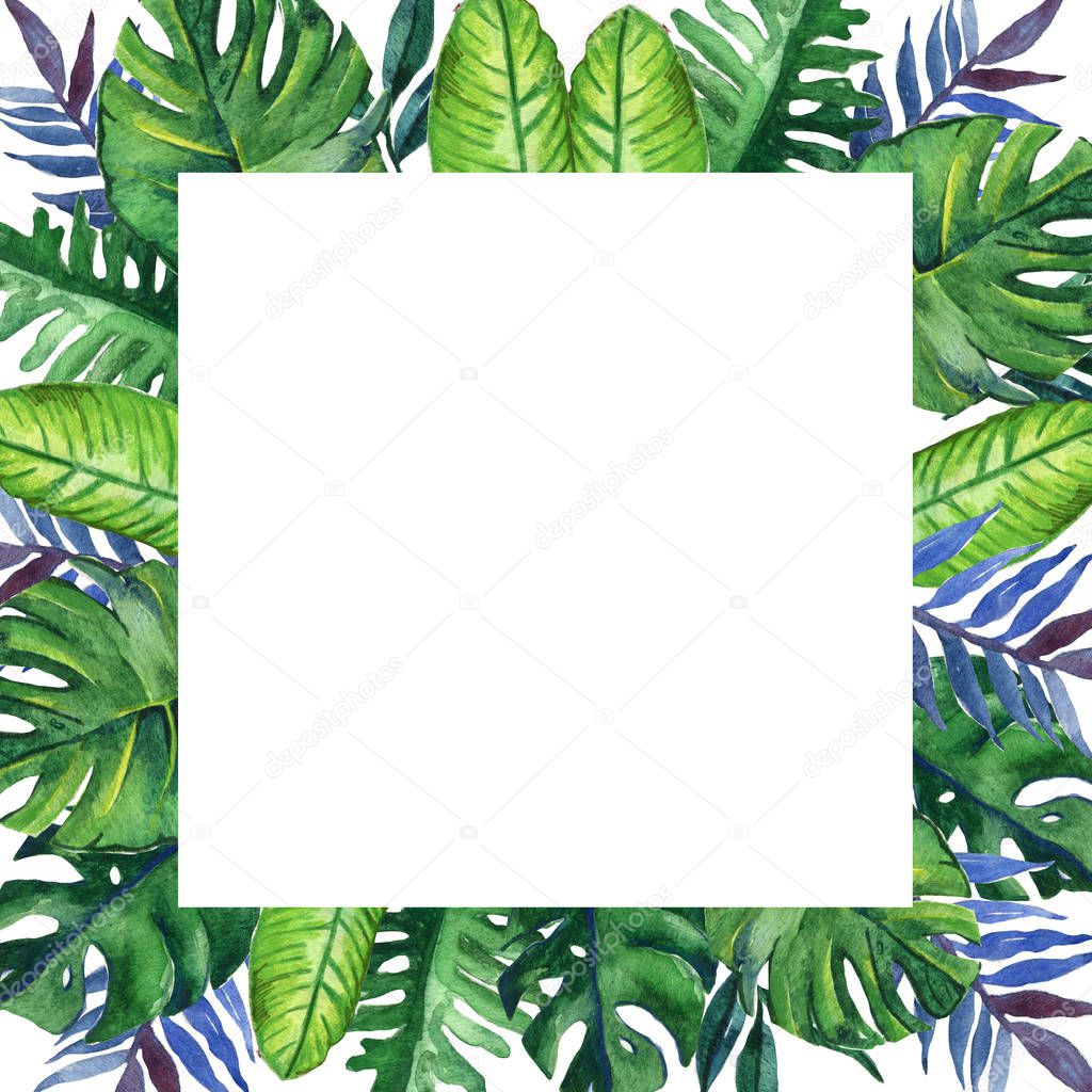 Hand drawn tropical watercolor square frame with exotic palm, banana leaves on white background. Space for your text. Square format.