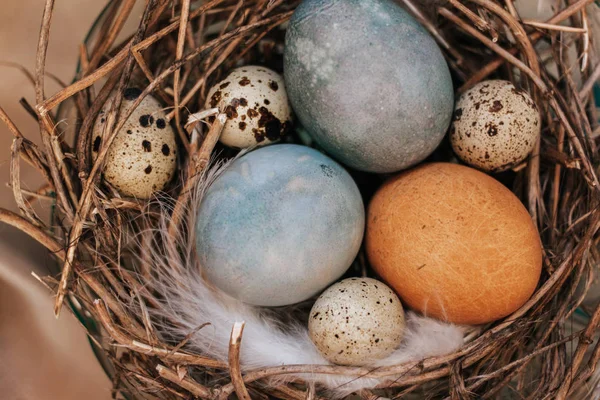 Easter eggs in nest with napkin on raw wooden table