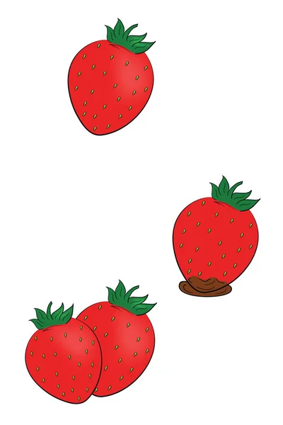 Chocolate Covered Strawberries Vector Stock Illustration