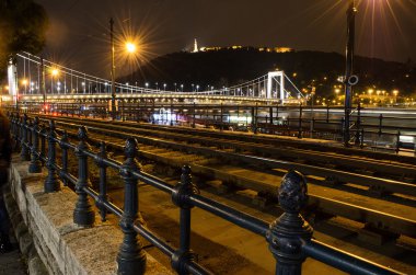 Gece köprü Elizhabet güzel Budapeşte ve Liber heykeli