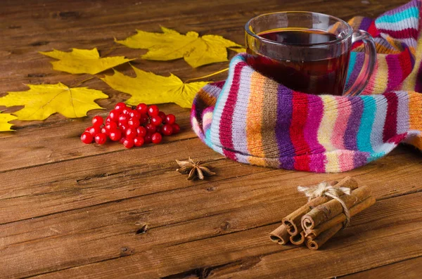 Decoración de otoño: una taza de té, bufanda de lana, bayas viburnum y spi — Foto de Stock