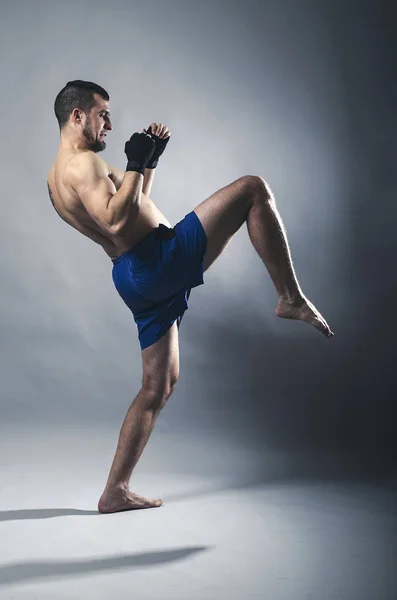 Portrait of kickboxer on a gray background. — Stock Photo, Image