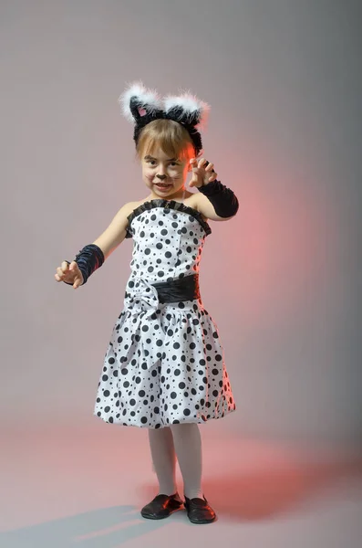 Attractive little girl dressed as a cat on a gray background. — Stock Photo, Image