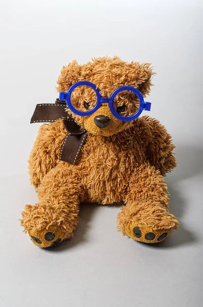 Brun nallebjörn med glasögon på en grå bakgrund. — Stockfoto