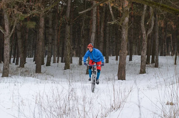 Велосипедист на гірському велосипеді, екстремальна зимова їзда в лісах — стокове фото