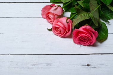 Beyaz ahşap arka planda, senin tex için boş alan pembe güller