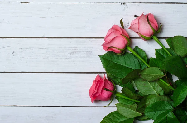 Ροζ τριαντάφυλλα σε λευκό φόντο ξύλινη, ελεύθερο χώρο για το tex — Φωτογραφία Αρχείου