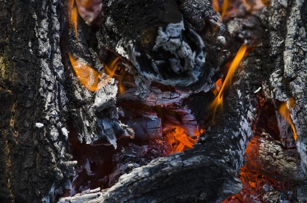 Queimando lenha ao ar livre, um incêndio close-up . — Fotografia de Stock