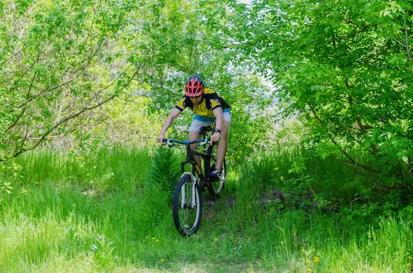 Joven ciclista con un casco, a caballo a través del bosque, un b — Foto de Stock