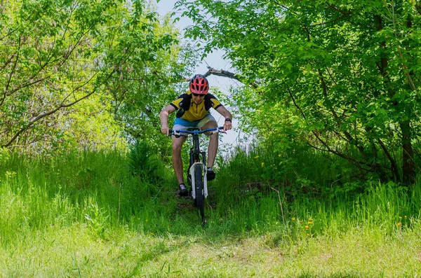 Jeune cycliste portant un casque, chevauchant dans la forêt, un b — Photo