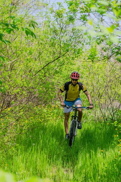 Молодой велосипедист в шлеме, катающийся по лесу, б — стоковое фото