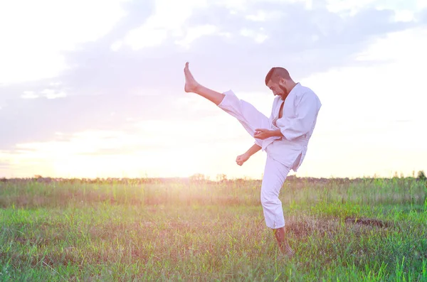 Człowiek w kimono trenuje karate w przyrodzie, piękny zachód słońca — Zdjęcie stockowe