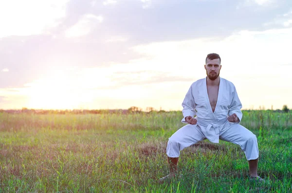 Seorang pria ramping terlibat dalam karate saat matahari terbenam, ruang kosong untuk Anda — Stok Foto