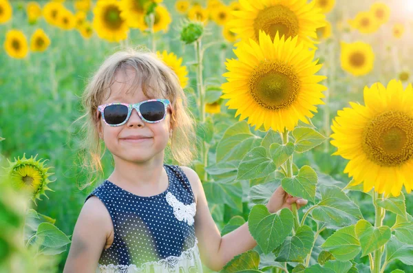 Schönes kleines Mädchen inmitten heller Sonnenblumen. — Stockfoto