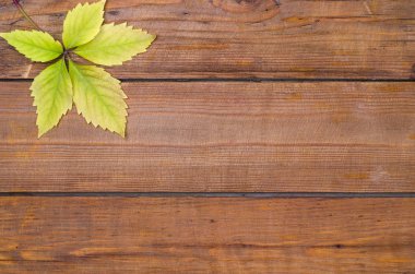 Ahşap arka plan, boş alan üzerinde sonbahar yaprak.