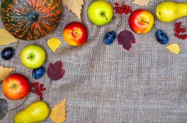 Şükran günü arka plan: kabak, elma ve çilek ile kopya s