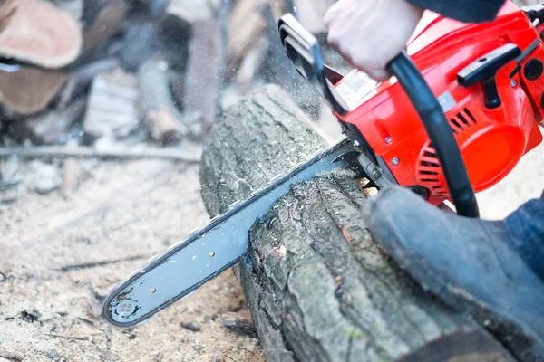 Close-up of man cutting trees from forest or garden with chainsaw. — Stock Photo, Image
