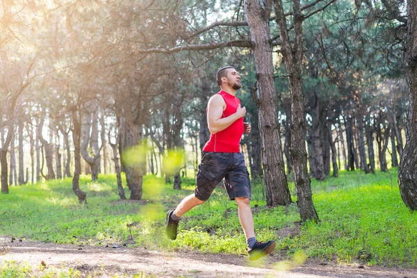 El atleta corriendo a lo largo del sendero forestal, una copia del espacio . —  Fotos de Stock