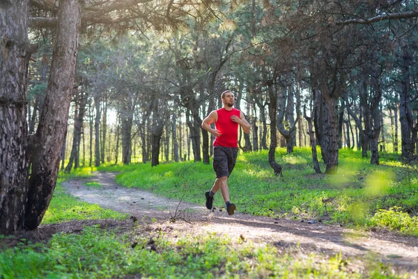 El atleta corriendo a lo largo del sendero forestal, una copia del espacio . — Foto de Stock