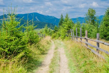 Dağlardaki yaz manzarası ve bulutlu koyu mavi gökyüzü..