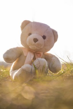 Oyuncak ayı kuru çimenlerde oturur..