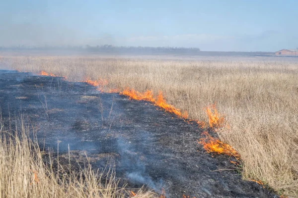 Fuego Campo Campo Quemaduras Hierba Seca — Foto de Stock