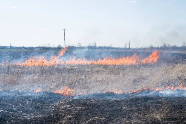 Fuego Campo Campo Quemaduras Hierba Seca — Foto de Stock