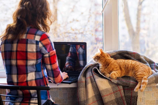 Una Mujer Trabajando Portátil Acuesta Junto Gato Rojo Cuadros Concepto — Foto de Stock