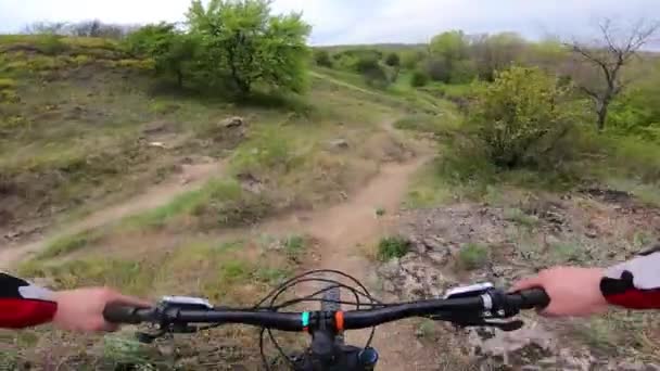 Cyclist Rides Trail Bicycle First Person View High Speed Cycling — Stock Video