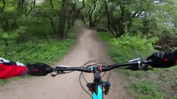 Вид Від Першої Особи Велосипедиста Який Катається Гірському Велосипеді Даунхілл — стокове відео