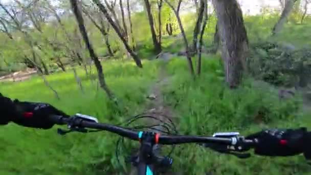 Vista Primera Persona Ciclista Montando Una Bicicleta Montaña Largo Pista — Vídeo de stock