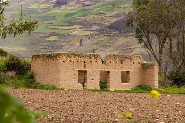 Çiftlikteki Tarma Junin — Stok fotoğraf