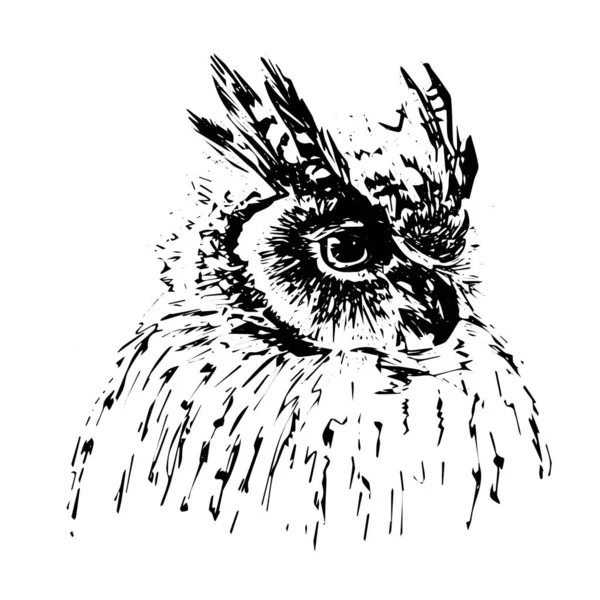 Siyah Beyaz Tasarımlı Korkunç Bir Baykuşun Portresi — Stok Vektör