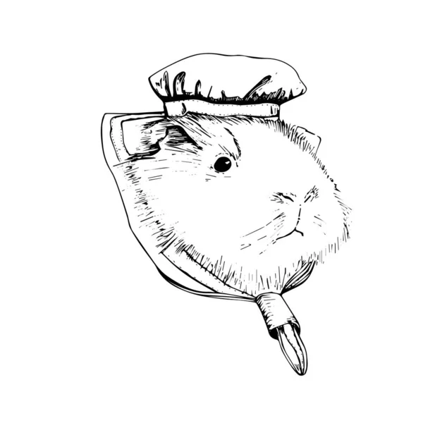Portrét morčete v čepici — Stockový vektor