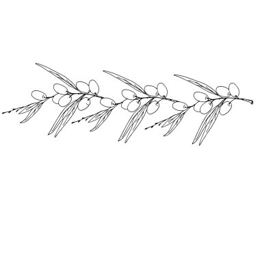 Meyveli asil zeytin dalı deseni