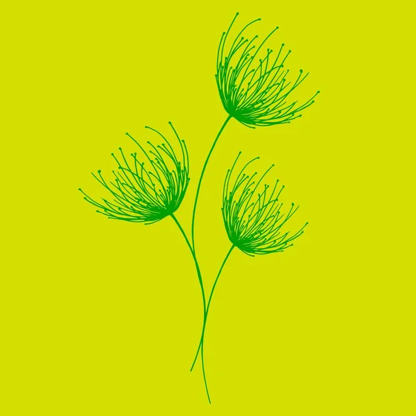 Μικρό μπουκέτο από ομπρέλες λιβάδι λουλούδι σε ένα χρωματιστό φόντο — Διανυσματικό Αρχείο
