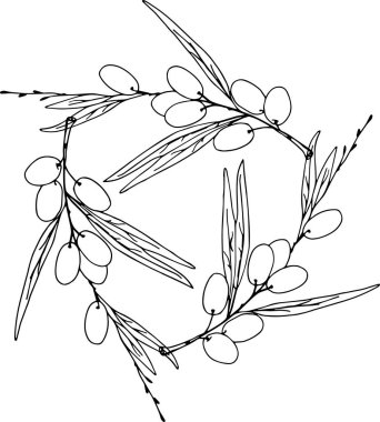 Meyveli zeytin dalları,