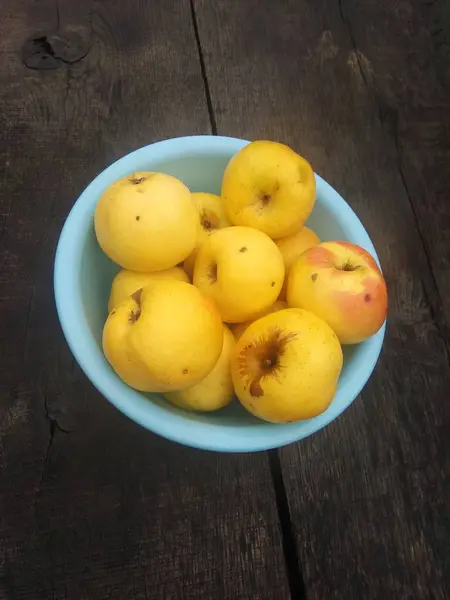 Żółte Jabłka Niebieskiej Misce — Zdjęcie stockowe