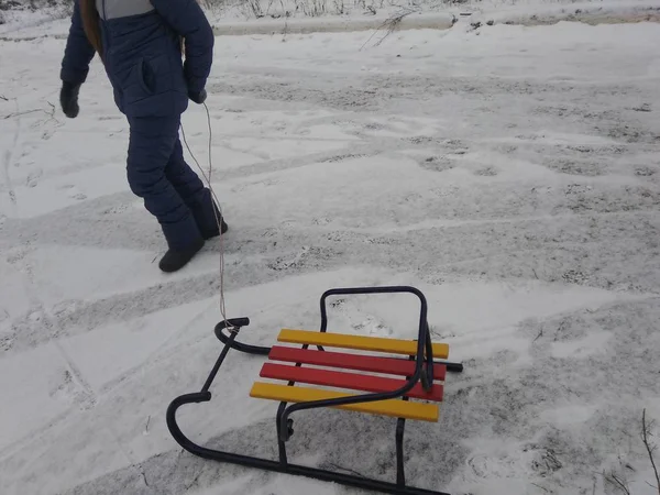 Girl Pulls Sled Snow — Stock Photo, Image