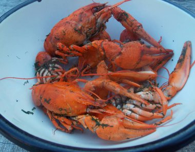 Bir kasede kaynatılmış kerevit.