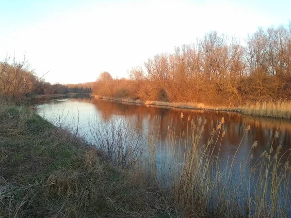 3月の川は — ストック写真