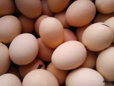 Tavuk yumurtaları. Yakın plan.