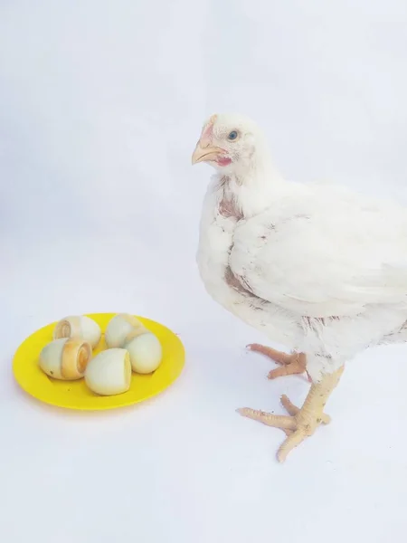 Frango Uma Chapa Branca Uma Chapa Com Ovos — Fotografia de Stock