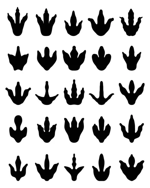 Empreintes de pas de dinosaures — Image vectorielle