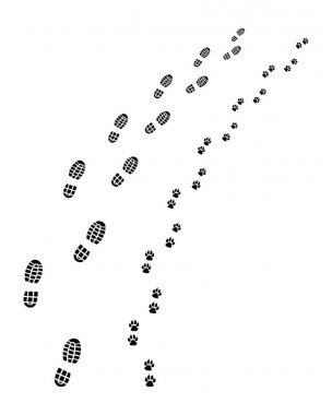 ayak izleri, insan ve köpek